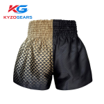 Dual Colour Boxing Shorts