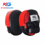 Red and Black Colour Punching Mitt