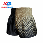 Dual Colour Boxing Shorts - Image 2